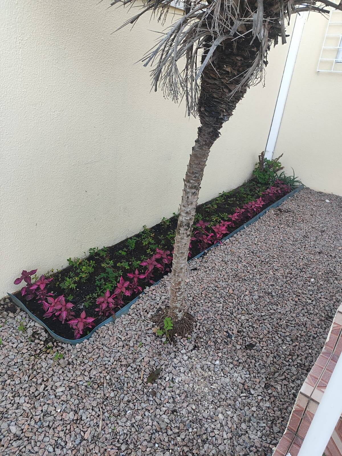Sobrado à venda com 3 quartos, 187m² - Foto 5