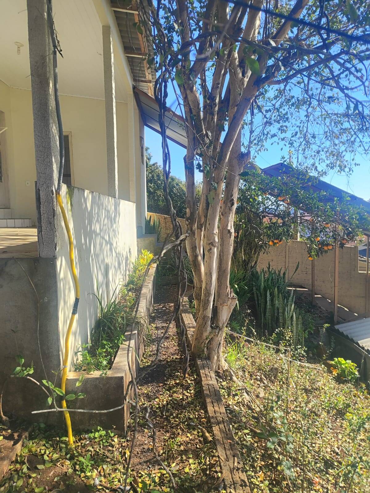 Casa, 3 quartos, 160 m² - Foto 26