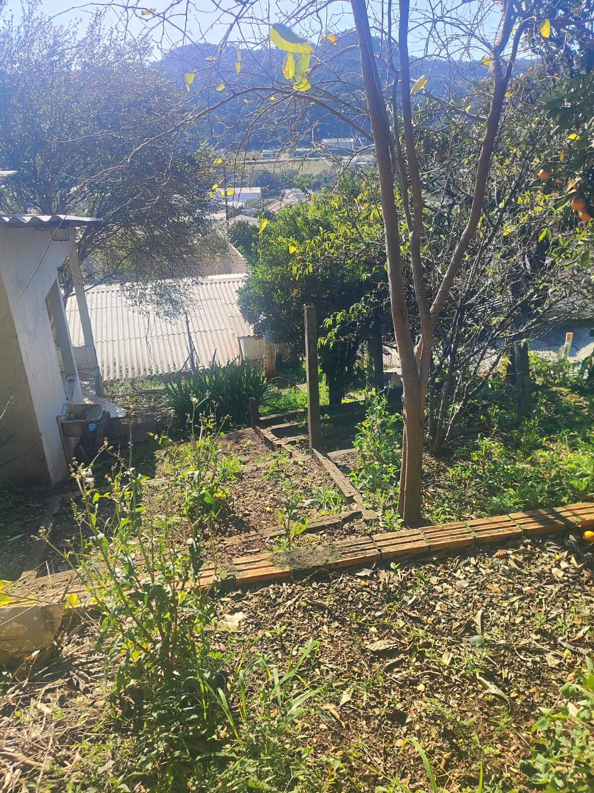 Casa, 3 quartos, 160 m² - Foto 34