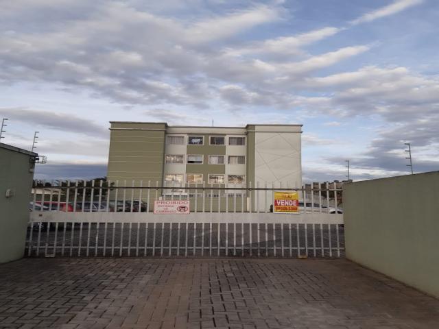 #142 - Apartamento para Venda em Pinhais - PR - 1