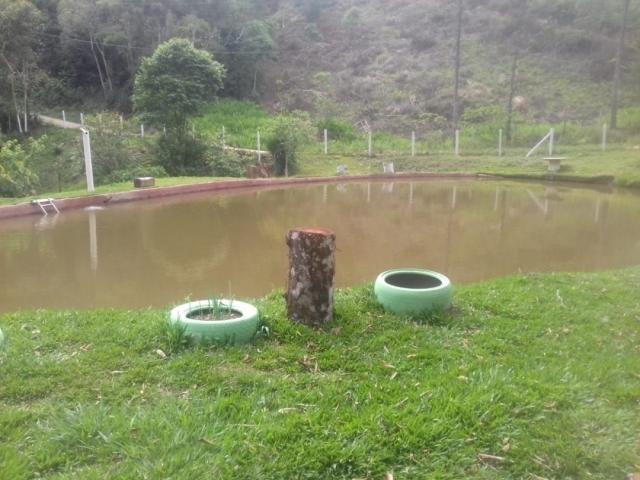Chácara para Venda em Rio Branco do Sul - 4