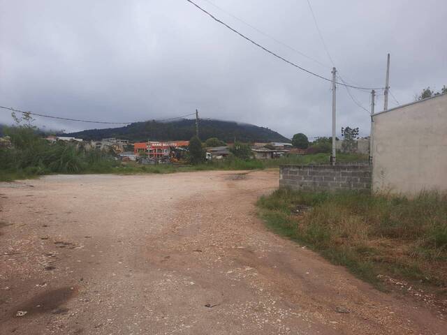Área para Venda em Itaperuçu - 5