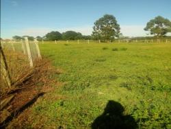 Terreno para Venda em São José dos Pinhais - 5
